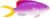 99eb9ed6-65b5-44e5-b15c-07e179897746